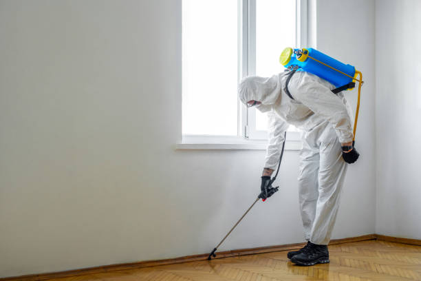 Best Mosquito Control Services  in Yeadon, PA